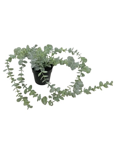 Ikea fejka plante - ikea, artificielle