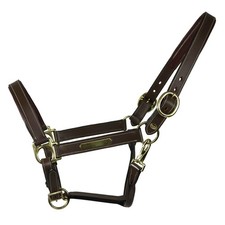 Equest Licol En Cuir Inscrit