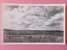 283M - France - CPA - Le