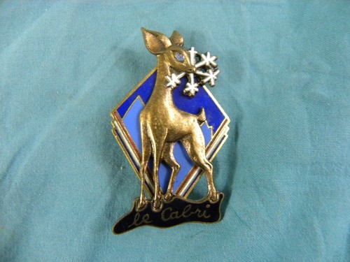 Ancien insigne esf cabri - esf,