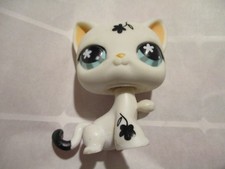 Petshop Chat Chartreux #547