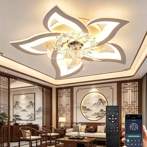 Plafond lampe avec ventilateur - lampe,