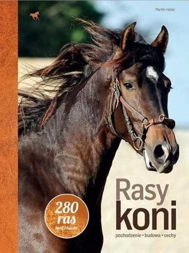 Rasy koni martin haller - rasy,