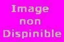 Luz ou le temps sauvage, Elsa