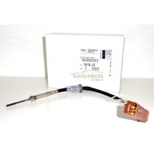 SONDE TEMPERATURE GAZ