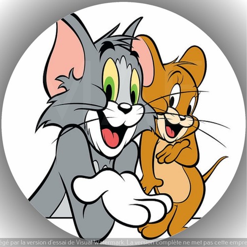 Tom jerry décoration de - et,