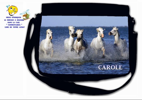 Sac bandoulière moyen modèle