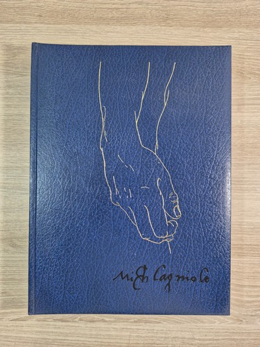 Michelangiolo buonarroti - buonarroti,