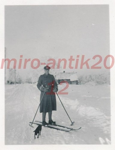 Photo ww2 a - ww2,, 6./a.r.193