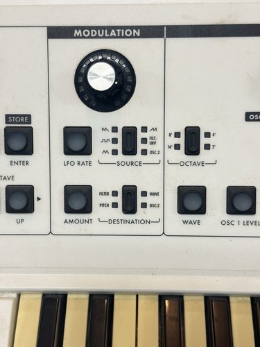 Moog little phatty white - moog,