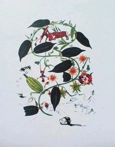 Salvador dali passiflore - dali,