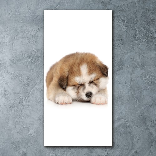 Tulup image sur - tulup, verre