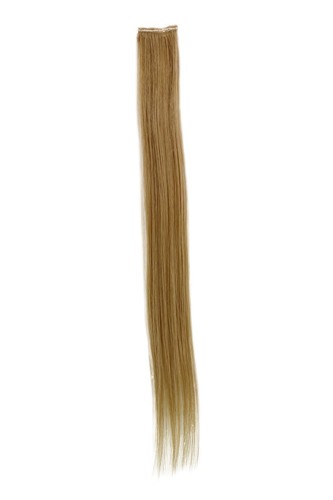 Clip extension mèche lisse - 1,