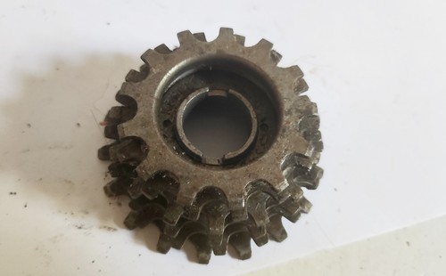 Regina corsa speed - regina,
