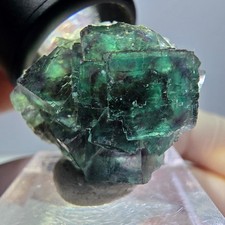 Spécimen de cube de fluorite