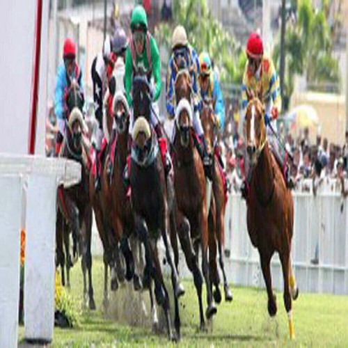 Methode turf the pyramid - the,