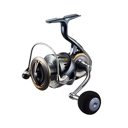 Moulinet tournant daiwa - moulinet,