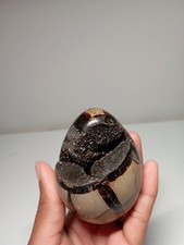 255g  OEUF EN  SEPTARIA  SAUVAGE Madagascar Massage Lithothérapie pierre 
