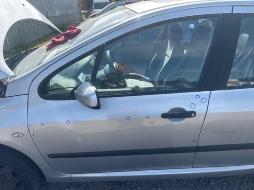 Porte avant gauche - , 307