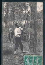 PAYS LANDAIS RESINIER