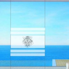 Feuille de Protection Vue Film