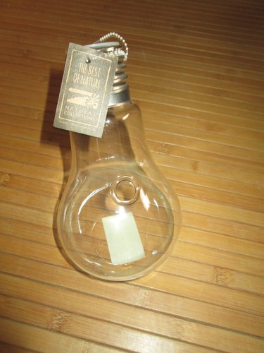 Vase ampoule transparent