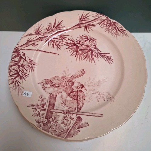 Assiette longwy modèle - assiette,