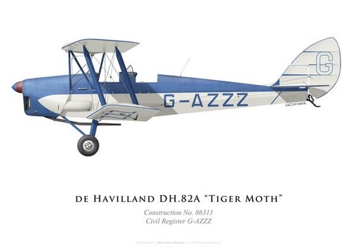 Print tiger moth g - print, moth,
