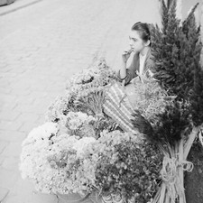 Photo papier  argentique