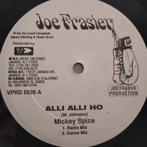Maxi vinyle reggae - reggae, mickey
