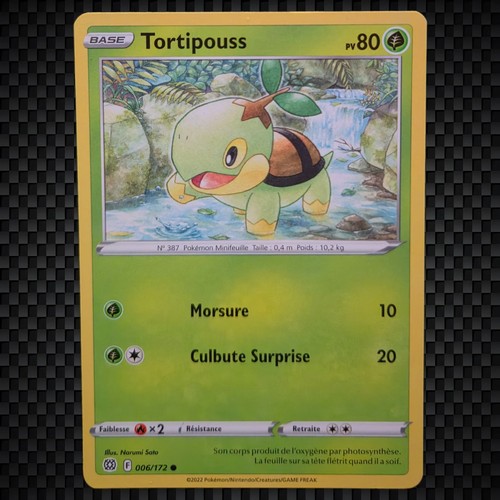 Cartes pokémon tortipouss - cartes,