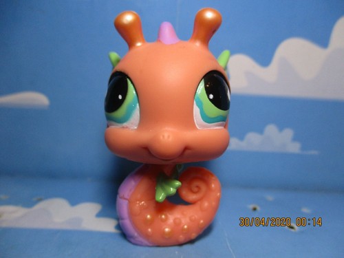 Petshop hippocampe 802 - petshop, n°802