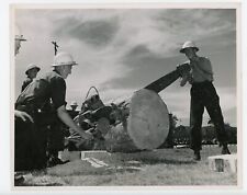 PHOTO, concours bucheron