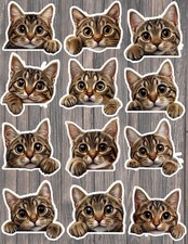 Peeking Kitten Die Cut Vinyl