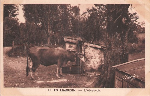Limousin l abreuvoir - en, limousin,