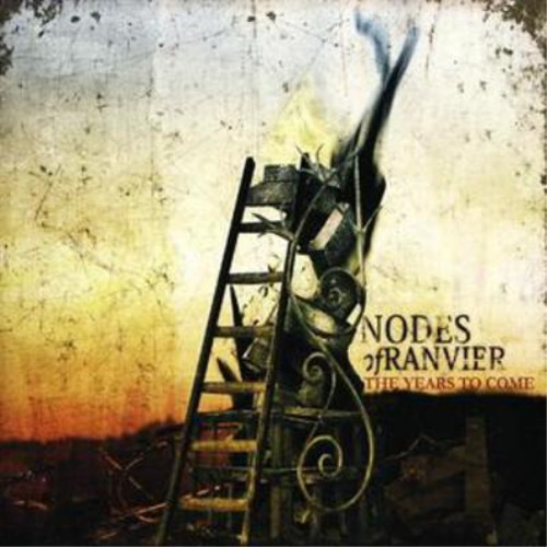 Nodes ranvier the years - nodes, to