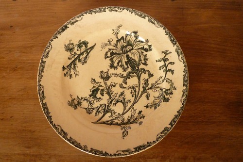 Assiette terre fer - terre,