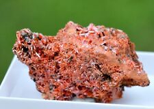 Crocoïte 46 grammes - Dundas mineral field, Zeehan District, Tasmanie Australie