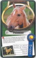 Carte Top Trumps - Chevaux ou Poneys - Palomino