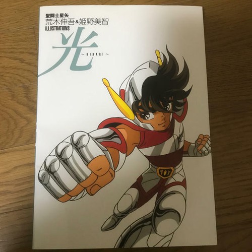Saint seiya hikari - seiya,