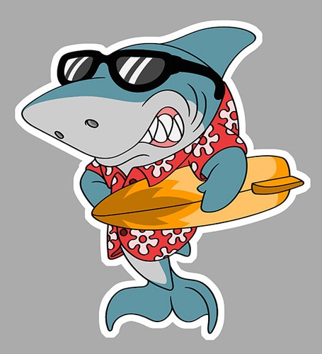 Requin cool surf - cool,