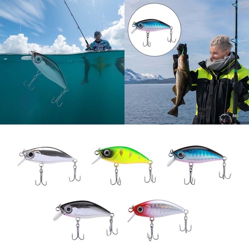 Leurre pêche appât dur - leurre,