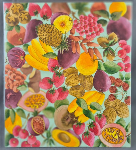 Fruits colorés gouache - fruits,