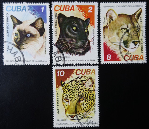 Timbres 1cuba animaux - -,