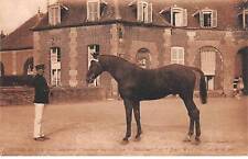 61 - HARAS DU PIN - SAN30798 - "Intermède" trotteur français par "Bémécour
