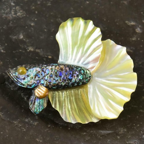 Siamois combattant poisson - combattant,