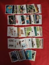 Lot 67 Images Panini Animaux (Lemurien)