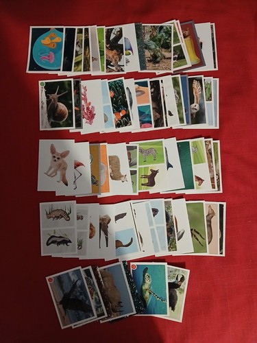 Lot images panini - lot, animaux