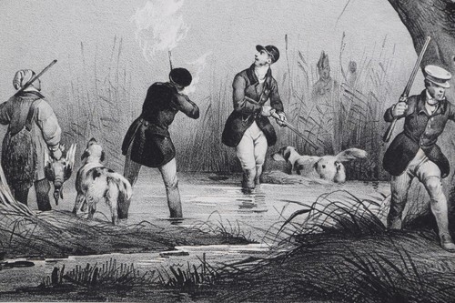 Chasse marais engelmann - au,