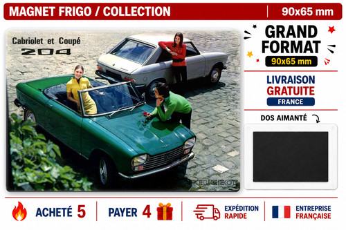 Magnet frigo peugeot 204 - frigo,